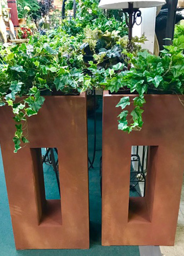 Plant Plant